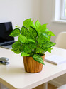 fancymart Bonsai Artificial Plant  with Pot