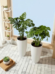 fantabo White marble 2 pcs 13 inch