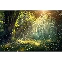 Fantasy Forest Reptile Tank Background Lightning Bugs Fireflies Forests Field Aquarium Background Rainforest Misty Sunray Fish Tank Backgrounds Jungle Trees Reptile Enclosure Backgrounds 48x24in