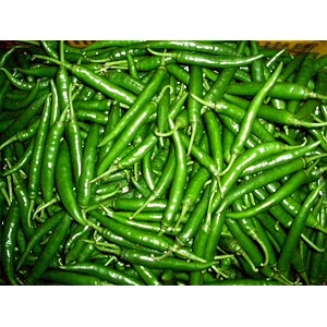 FarmCrane Green Chilli Seeds Seeds Pack mirchi