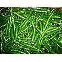 FarmCrane Green Chilli Seeds Seeds Pack mirchi