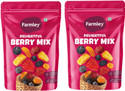 Farmley Berry Mix- Protein Rich Dried Berries Snack (2 x 200 g)