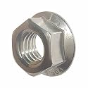 Fastenere Serrated Flange Nuts – 1/4"-20 (50-Pack), Durable Stainless Steel 18-8 Hex Lock Hardware Nuts, Corrosion-Resistant, Coarse Plain Finish for Home, Automotive & Industrial Use