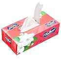 Feather's Premium Facial Dry Tissue Super Soft & Super Absorbent Paper 2 Ply Pure Tree Pulp Biodegradable Tissue with 100 Pulls (Pack of 8)