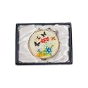 February Mountain Mother of Pearl Compact Mirror – Dual Magnification Gift for Women, Mom, Sister – Birthday or Christmas Idea (1, Butterfly Garden)