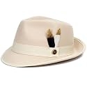 Fedora Hats for Men &amp; Women Short Brim Felt hat Trilby Fedora with Feather Panama Dress Hat