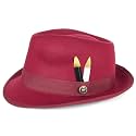 Fedora Hats for Men &amp; Women Short Brim Felt hat Trilby Fedora with Feather Panama Dress Hat