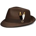 Fedora Hats for Men &amp; Women Short Brim Felt hat Trilby Fedora with Feather Panama Dress Hat