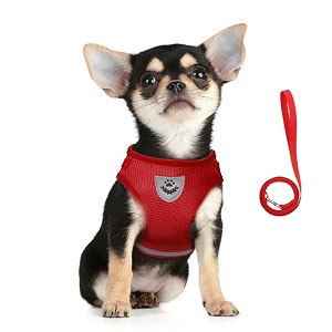 Feimax Dog Harness and Leash Set No-Pull