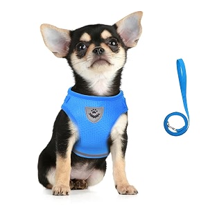 Feimax Dog Harness and Leash Set No-Pull