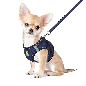 FEimaX Dog Harness and Leash Set Puppy