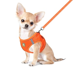 FEimaX Dog Harness and Leash Set Puppy