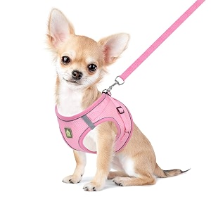 FEimaX Dog Harness and Leash Set Puppy
