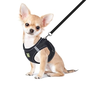 FEimaX Dog Harness and Leash Set Puppy
