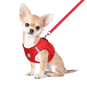 FEimaX Dog Harness and Leash Set Puppy