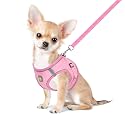 FEimaX Dog Harness and Leash Set Puppy