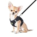 FEimaX Dog Harness and Leash Set Puppy