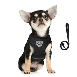 FEimaX Dog Harness and Leash Set for
