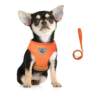FEimaX Dog Harness and Leash Set for