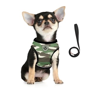 FEimaX Dog Harness and Leash Set for