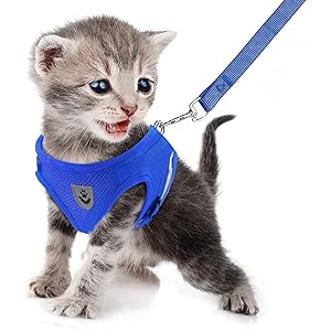FEimaX Dog Harness and Leash Set for
