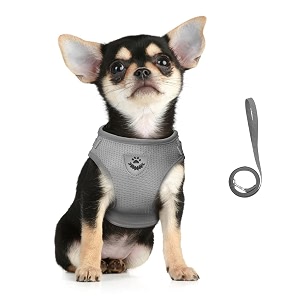 FEimaX Dog Harness and Leash Set for