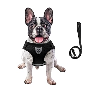 FEimaX Dog Harness and Leash Set for