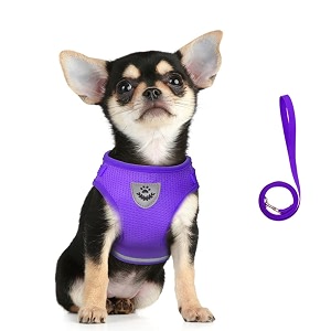FEimaX Dog Harness and Leash Set for