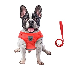 FEimaX Dog Harness and Leash Set for