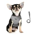 FEimaX Dog Harness and Leash Set for
