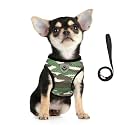 FEimaX Dog Harness and Leash Set for