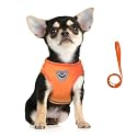 FEimaX Dog Harness and Leash Set for