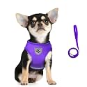 FEimaX Dog Harness and Leash Set for
