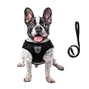 FEimaX Dog Harness and Leash Set for