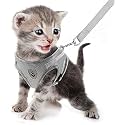 FEimaX Dog Harness and Leash Set for