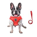 FEimaX Dog Harness and Leash Set for
