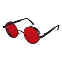 FEISEDY Retro Gothic Steampunk Sunglasses For Men Women