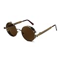 FEISEDY Retro Gothic Steampunk Sunglasses For Men Women
