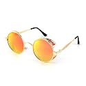 FEISEDY Retro Steampunk Sunglasses for Men Women, Round Metal Frame Gothic Vintage Style B2820