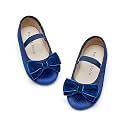 Felix &amp; Flora Toddler Flower Girl Dress Shoes - Girl Ballet Flats Party School Shoes Wedding