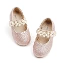 Felix &amp; Flora Toddler Flower Girl Dress Shoes - Girl Ballet Flats Party School Shoes Wedding