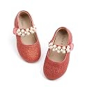 Felix &amp; Flora Toddler Flower Girl Dress Shoes - Girl Ballet Flats Party School Shoes Wedding