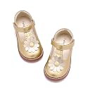 Felix &amp; Flora Toddler Little Girl Mary Jane Dress Shoes - Ballet Flats for Easter Flower Girl Party School Shoes.