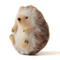Hedgehog Needle Felting Kit for Beginners Easy Steps to Make with Everything, Christmas for Mom, Grandma