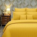 300TC Glace Cotton Plain Stripe Queen Size Double Bedsheet with 2 Pillow Cover for Home, Hotel, Guest Room (90 X 100) Inch