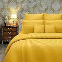 300TC Glace Cotton Plain Stripe Queen Size Double Bedsheet with 2 Pillow Cover for Home, Hotel, Guest Room (90 X 100) Inch