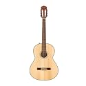 Fender CN-60S Concert Nylon String Acoustic Guitar, with 2-Year Warranty, Natural