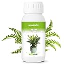 Fern Fertilizer – Organic Slow Release Liquid Plant Food, 10 oz
