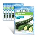 Ferry-Morse Exclusive Online Edition Cucumber The Big Dill Seed Multipack Vegetable Seeds - High Germination Rate, GMO Free, Outdoor - 7 Pack