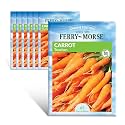 Ferry-Morse Online Edition Carrot Touchon Vegetable Plant Seeds - High Germination Rate, GMO Free - 7 Pack - Carrot Touchon